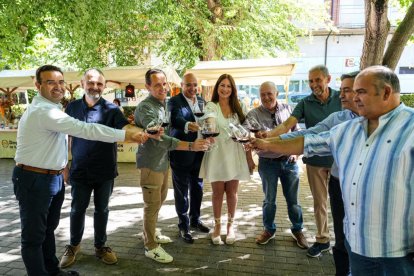 Feria de Artesanía por el 25 aniversario del Museo del Vino de Peñafiel