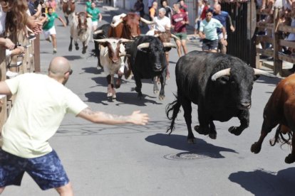 Encierro urbano con los novillos de Martín Lorca.