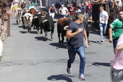 Encierro urbano con los novillos de Martín Lorca.
