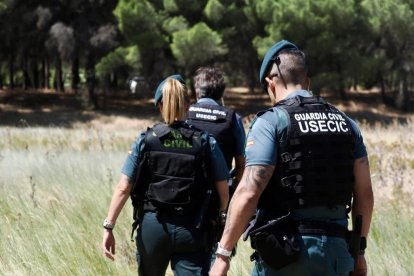 El dispositivo de la Guardia Civil para buscar a la joven desaparecida en Peñafiel.