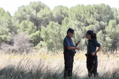 El dispositivo de la Guardia Civil para buscar a la joven desaparecida en Peñafiel.
