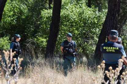 El dispositivo de la Guardia Civil para buscar a la joven desaparecida en Peñafiel.