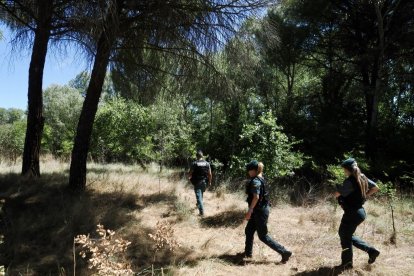 El dispositivo de la Guardia Civil para buscar a la joven desaparecida en Peñafiel.