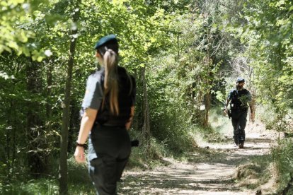 El dispositivo de la Guardia Civil para buscar a la joven desaparecida en Peñafiel.