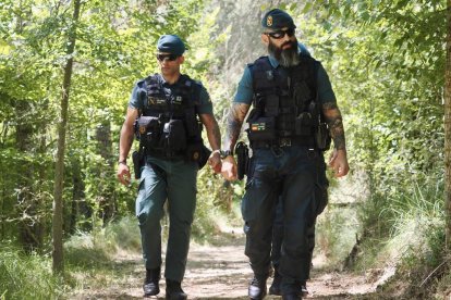 El dispositivo de la Guardia Civil para buscar a la joven desaparecida en Peñafiel.