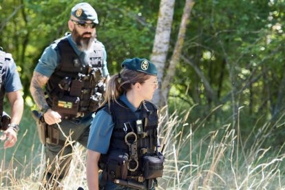 El dispositivo de la Guardia Civil para buscar a la joven desaparecida en Peñafiel.