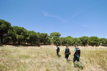 El dispositivo de la Guardia Civil para buscar a la joven desaparecida en Peñafiel.