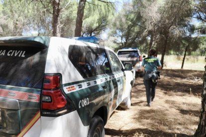 El dispositivo de la Guardia Civil para buscar a la joven desaparecida en Peñafiel.