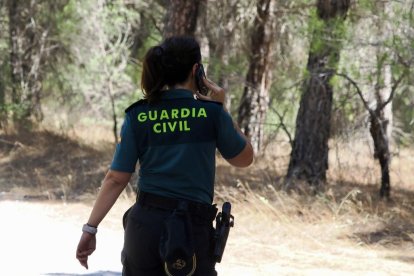 El dispositivo de la Guardia Civil para buscar a la joven desaparecida en Peñafiel.