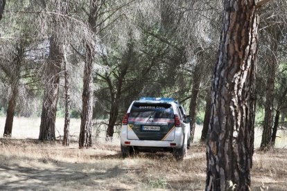 El dispositivo de la Guardia Civil para buscar a la joven desaparecida en Peñafiel.