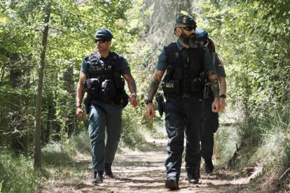 El dispositivo de la Guardia Civil para buscar a la joven desaparecida en Peñafiel.