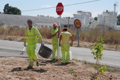El carril bici entre Valladolid y Simancas ya está en uso.