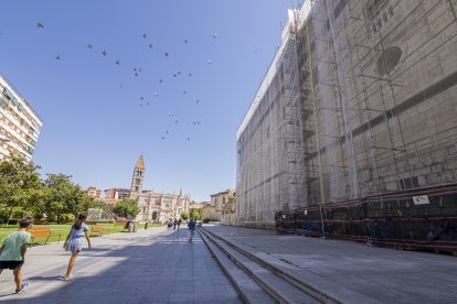 Andamios en la fachada lateral de la Catedral