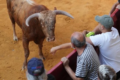 Encierro por las calles de Íscar