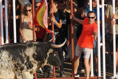 Toro bragado en la Plaza de Toros