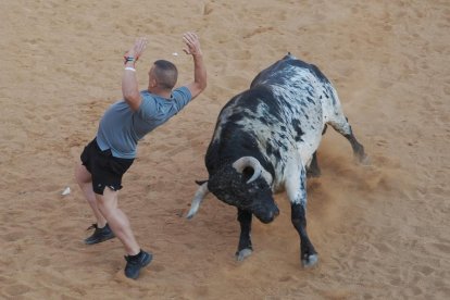 Toro bragado en la Plaza de Toros