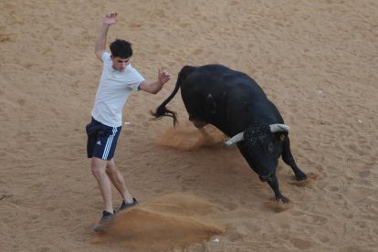 Toro negro en la Plaza de Toros
