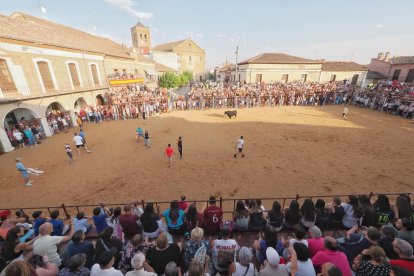 Encierros de La Seca