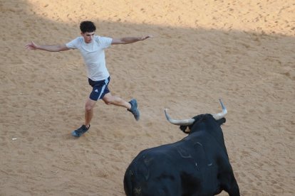 Toro negro en la Plaza de Toros