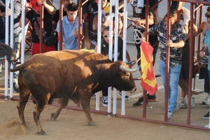 Toro castaño en la Plaza de Toros