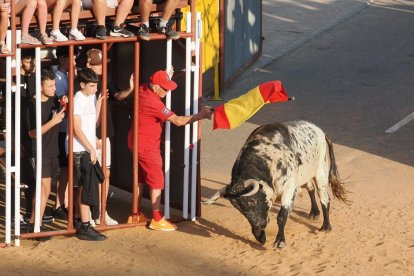 Toro bragado en la Plaza de Toros
