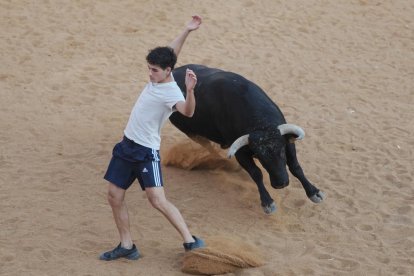 Toro negro en la Plaza de Toros