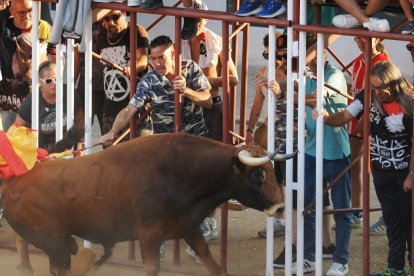 Toro castaño en la Plaza de Toros
