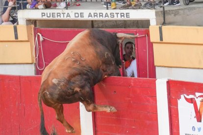 Astado saltando las tablas