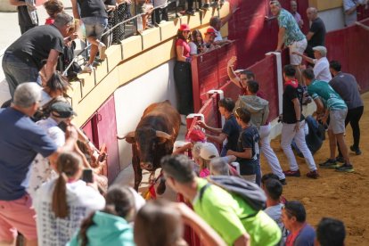 Astado saltando las tablas