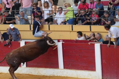 Astado saltando las tablas