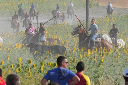 Encierro por el campo en Íscar