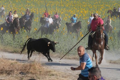 Encierro por el campo en Íscar