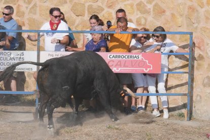Encierro por el campo en Íscar