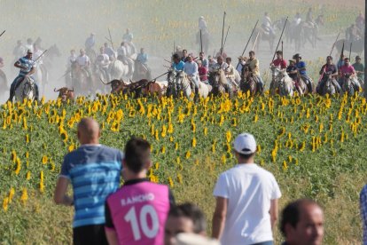 Encierro por el campo en Íscar