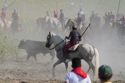Encierro por el campo en Íscar