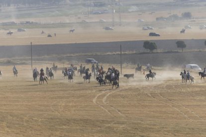 Último encierro por el campo de Íscar.