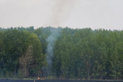 Incendio en una parcela junto a la vía del tren próximo a la calle del Arca Real.