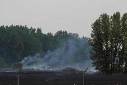 Incendio en una parcela junto a la vía del tren próximo a la calle del Arca Real.
