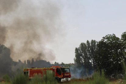 Incendio en una parcela junto a la vía del tren próximo a la calle del Arca Real.