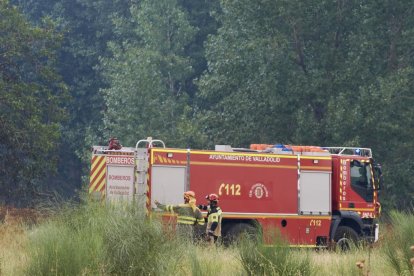 Incendio en una parcela junto a la vía del tren próximo a la calle del Arca Real.