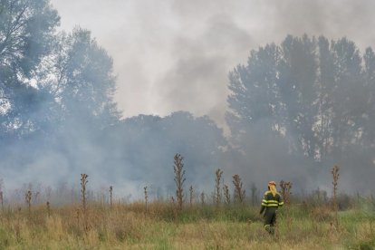 Incendio en una parcela junto a la vía del tren próximo a la calle del Arca Real.