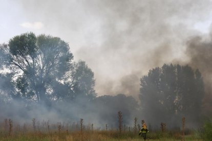 Incendio en una parcela junto a la vía del tren próximo a la calle del Arca Real.