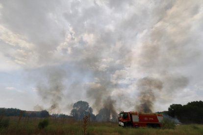 Incendio en una parcela junto a la vía del tren próximo a la calle del Arca Real.