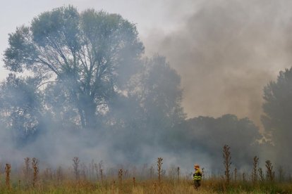 Incendio en una parcela junto a la vía del tren próximo a la calle del Arca Real.