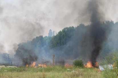 Incendio en una parcela junto a la vía del tren próximo a la calle del Arca Real.