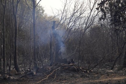 Vecinos que fueron desalojados de Las Médulas y Carucedo (León) por el incendio regresan a sus casas, algunas arrasadas por las llamas.