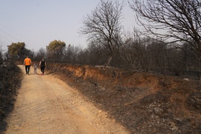 Vecinos que fueron desalojados de Las Médulas y Carucedo (León) por el incendio regresan a sus casas, algunas arrasadas por las llamas.