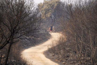 Vecinos que fueron desalojados de Las Médulas y Carucedo (León) por el incendio regresan a sus casas, algunas arradasdas por las llamas.