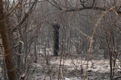 Vecinos que fueron desalojados de Las Médulas y Carucedo (León) por el incendio regresan a sus casas, algunas arradasdas por las llamas.