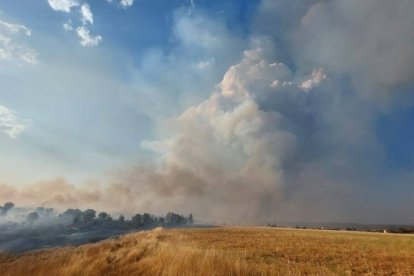 Operativo de extinción de incendios en Molezuela de Carballeda (Zamora).